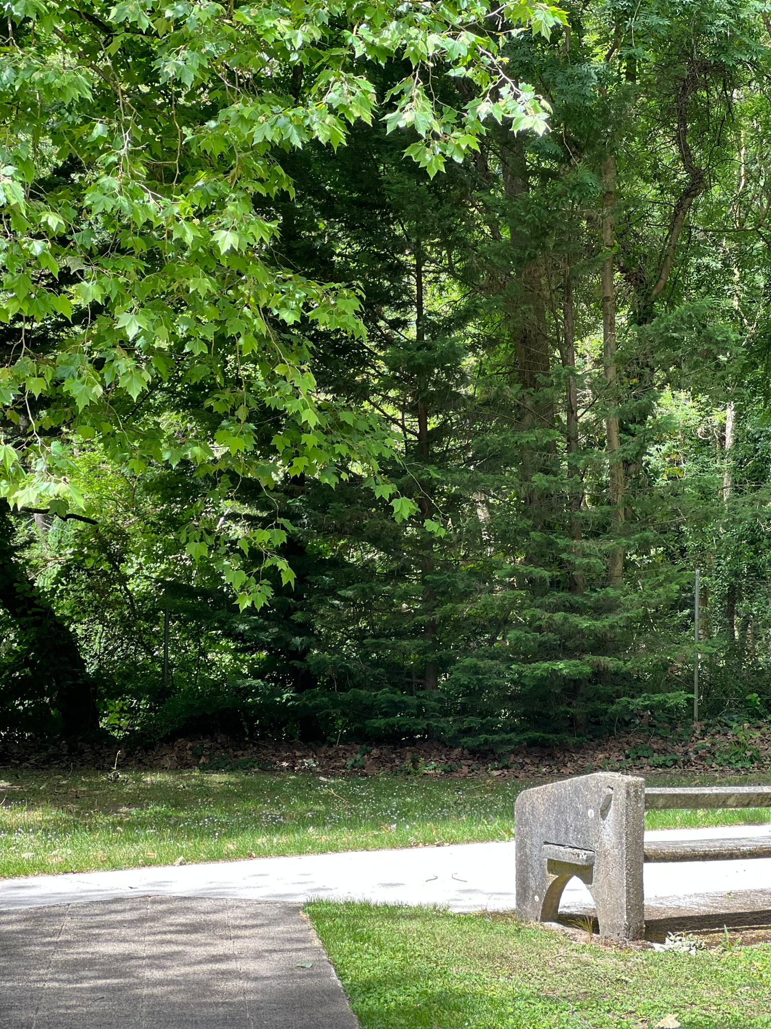 Cabinet de psychologie à Bourges